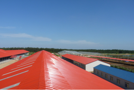 案例-新建奶牛养殖场